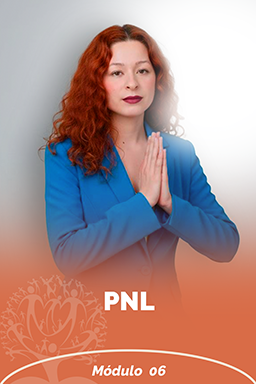 Capa de Módulo 6 320x480